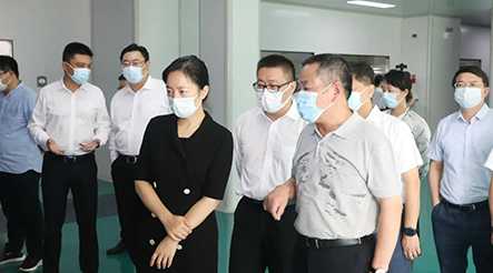 市委副书记、代市长盛蕾一行莅临公司视察调研